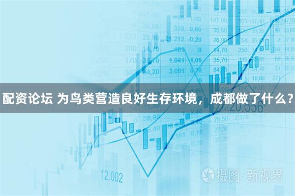 配资论坛 为鸟类营造良好生存环境，成都做了什么？