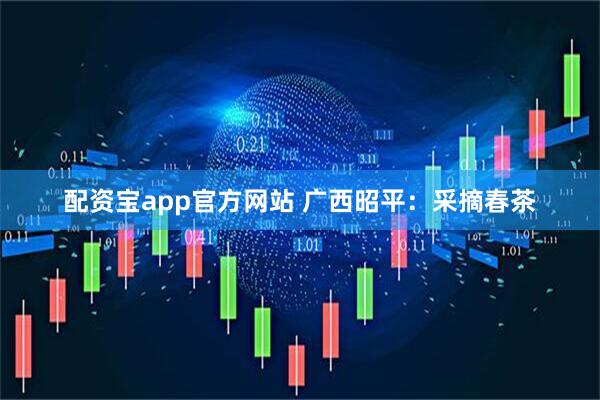 配资宝app官方网站 广西昭平：采摘春茶